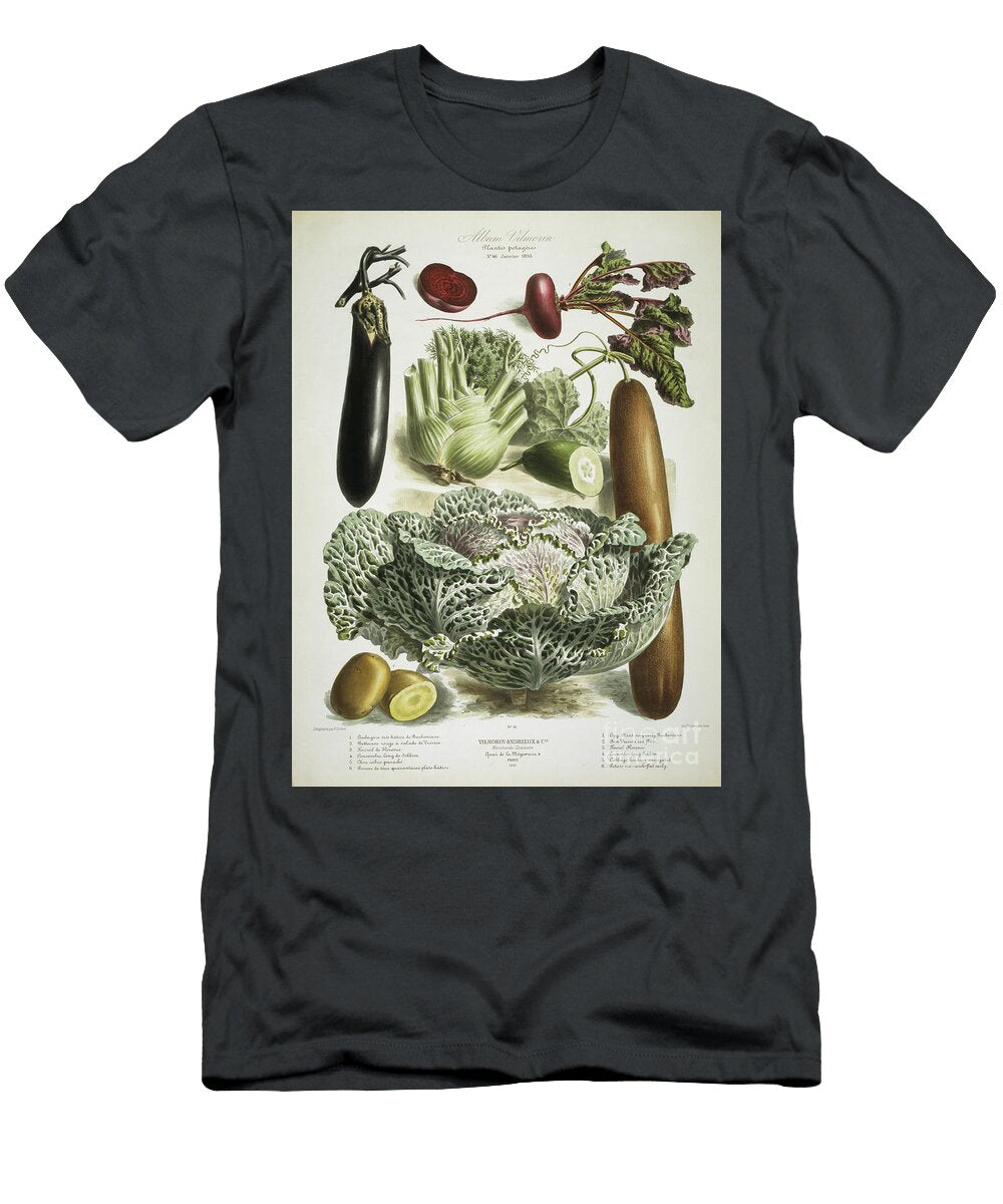 Aubergine and Cabbage E Godard T-Shirt
