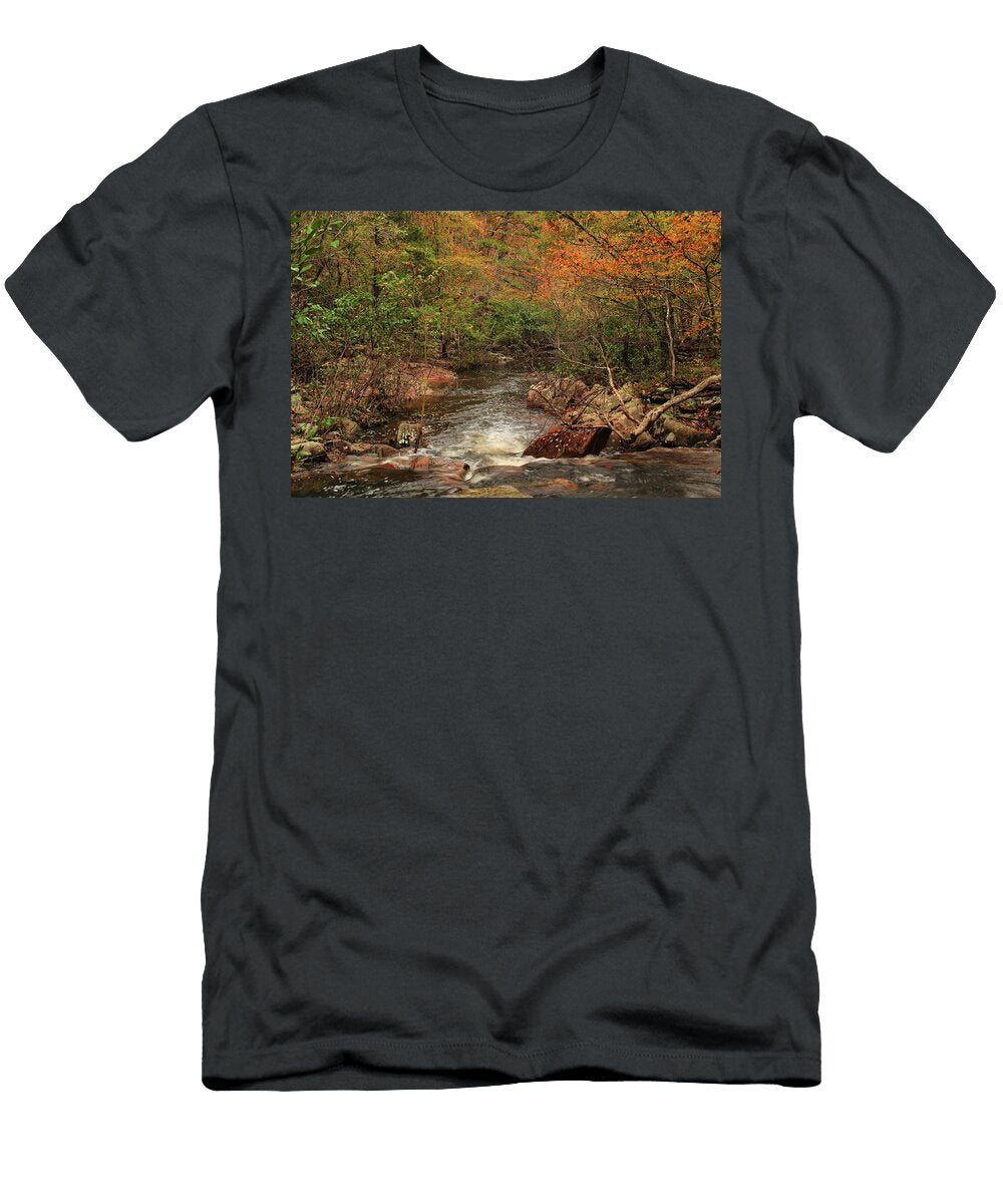 Autumn Colors on Pickle Creek 1 Greg Matchick T-Shirt