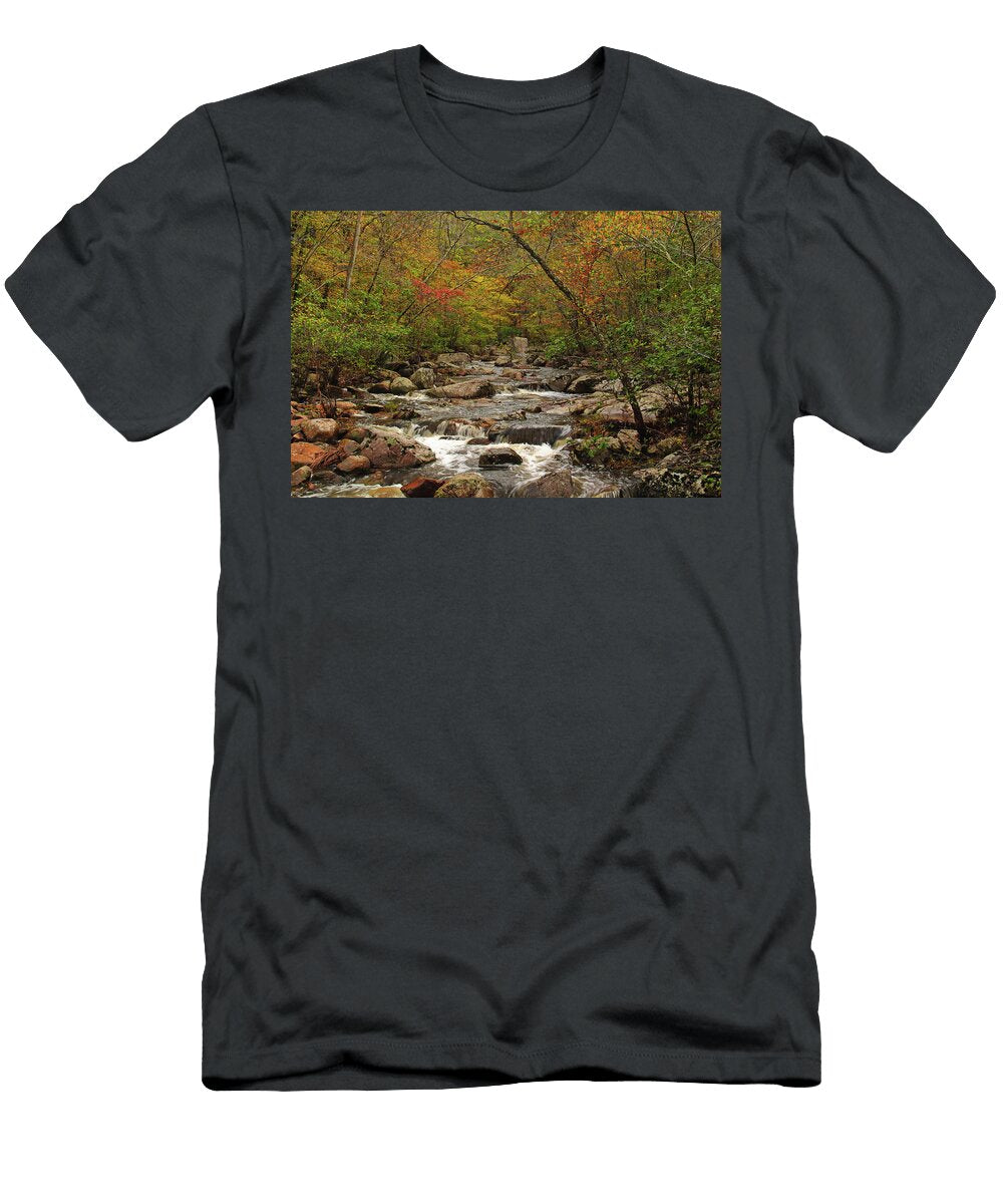 Autumn Colors on Pickle Creek 2 Greg Matchick T-Shirt