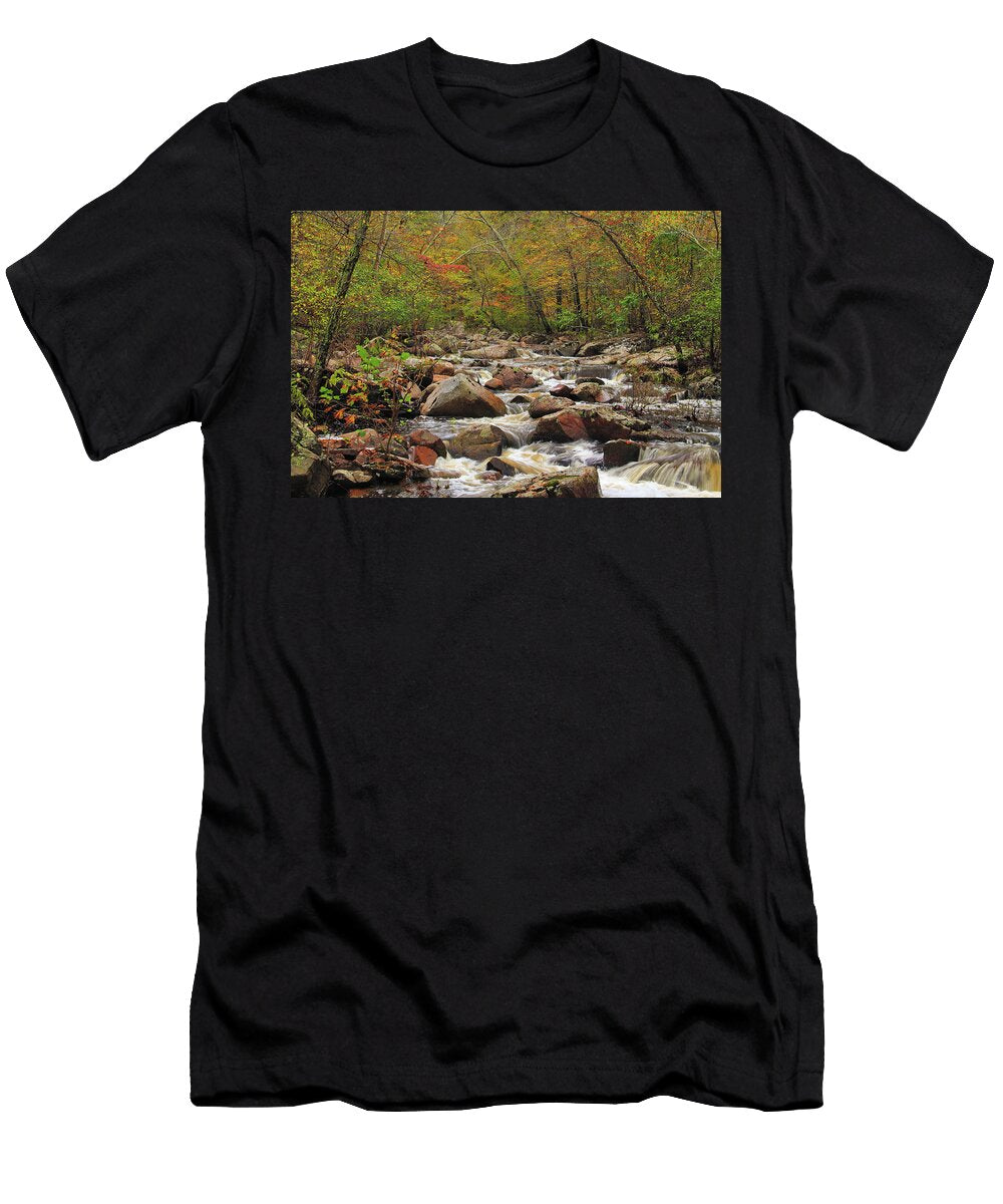 Autumn Colors on Pickle Creek 3 Greg Matchick T-Shirt