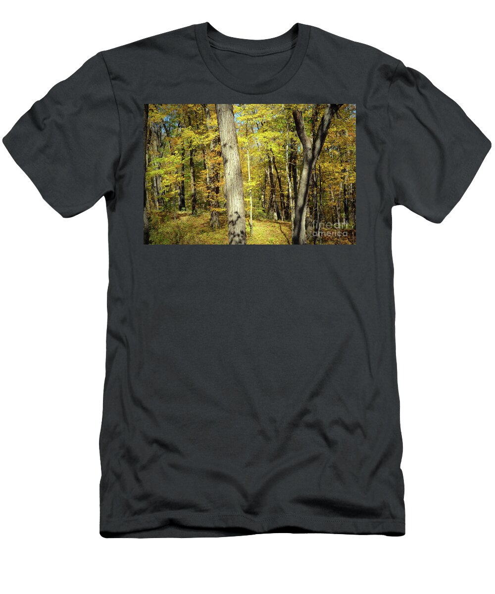 Autumn Finale Deb Halloran T-Shirt