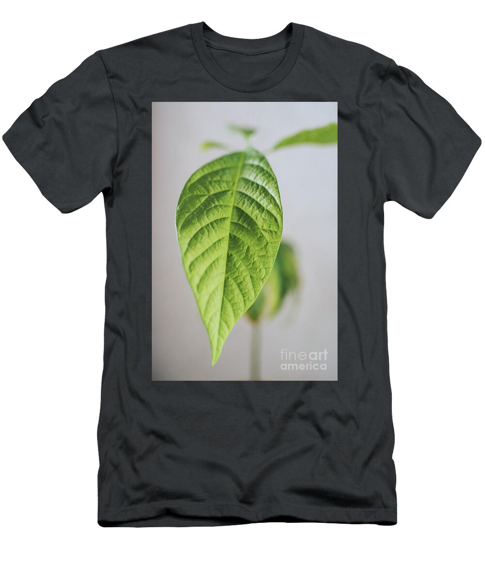 Avocado Leaf Viktor Pravdica T-Shirt