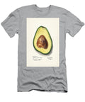 Avocado Persa 1912 By Ellen Isham Schutt Les Classics T-Shirt