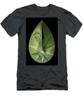 Avocado Pi Kerry Mitchell T-Shirt