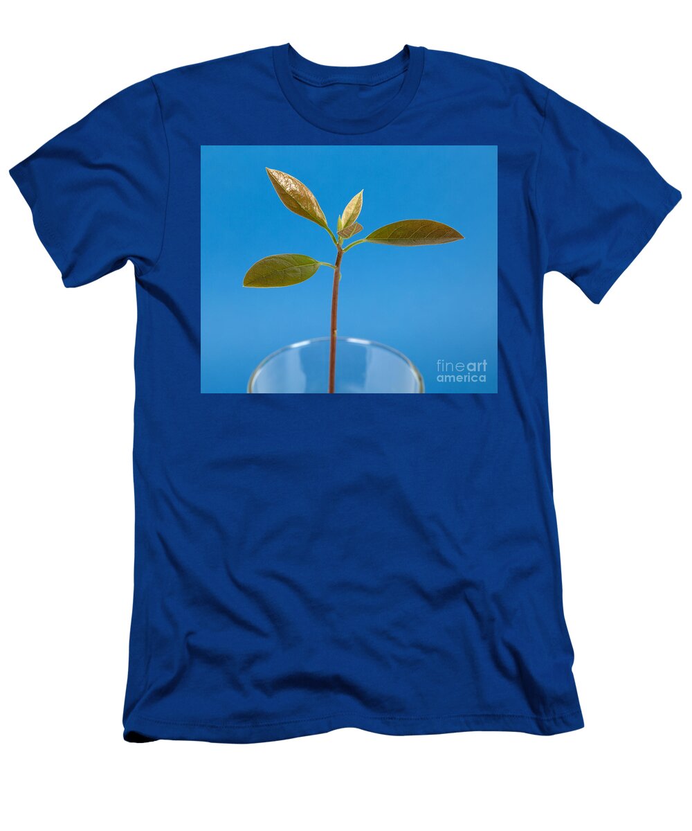 Avocado Seedling Ted Kinsman T-Shirt