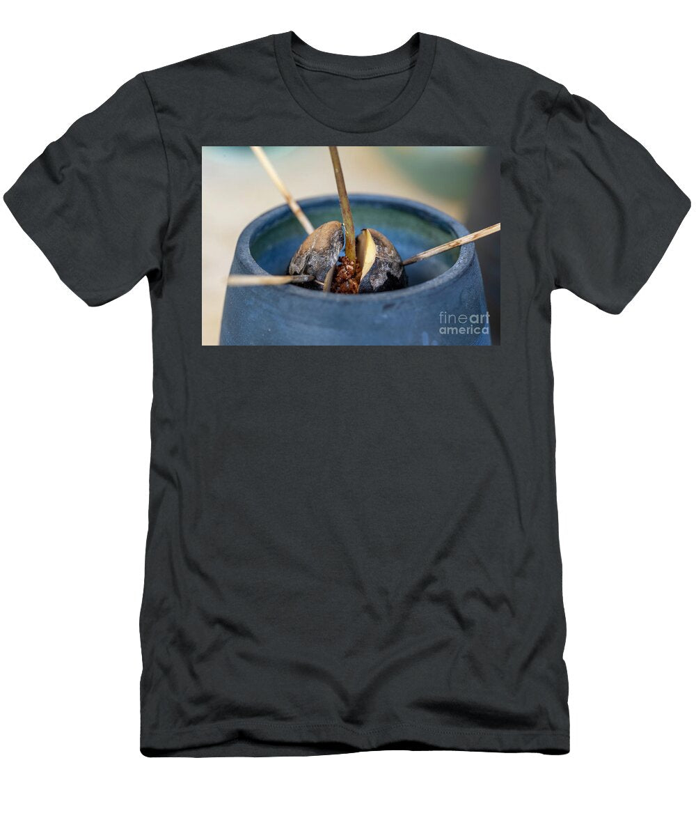 Avocado Sprout Grows From the Seed T2 Ilan Rosen T-Shirt