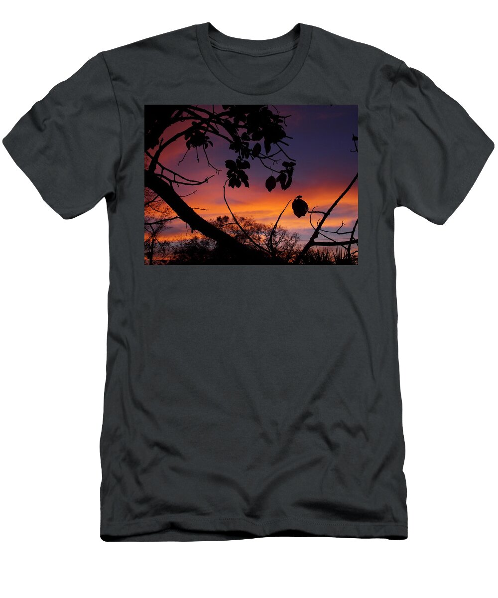 Avocado Sunset J Boyce T-Shirt