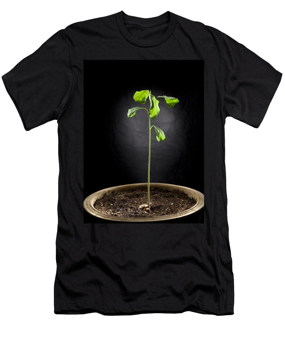 Avocado Tree Alexey Stiop T-Shirt