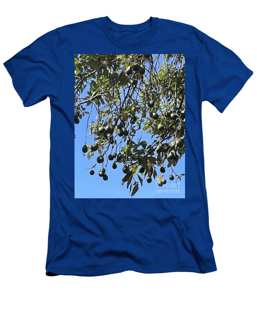 Avocado Tree with Blue Sky Sofia Goldberg T-Shirt