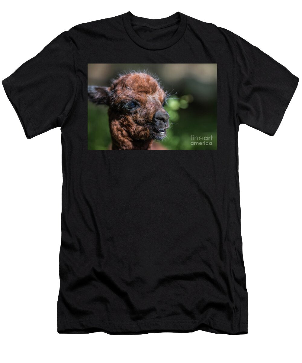 Baby Alpaca Eva Lechner T-Shirt