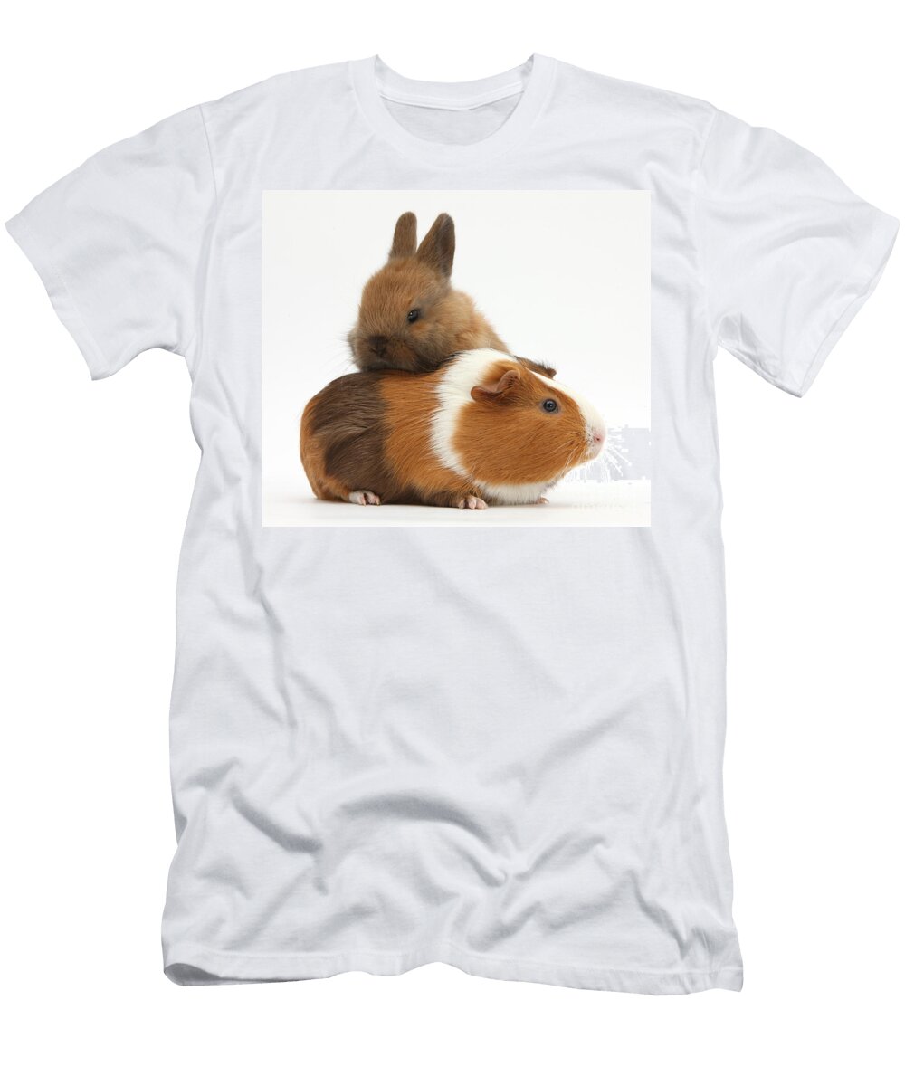 Baby Rabbit and Guinea Pig Mark Taylor T-Shirt