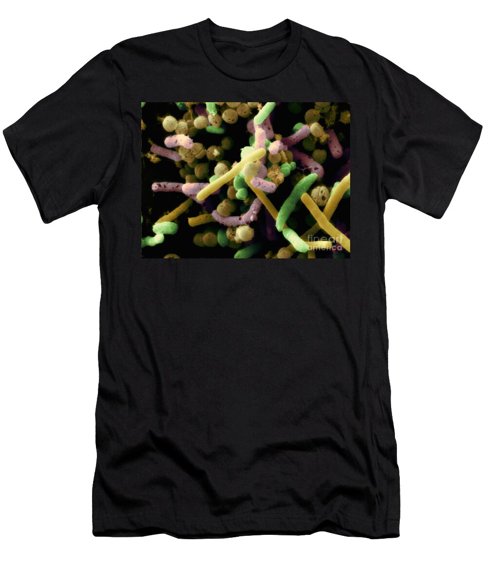 Bacteria in Olive Brine Scimat T-Shirt