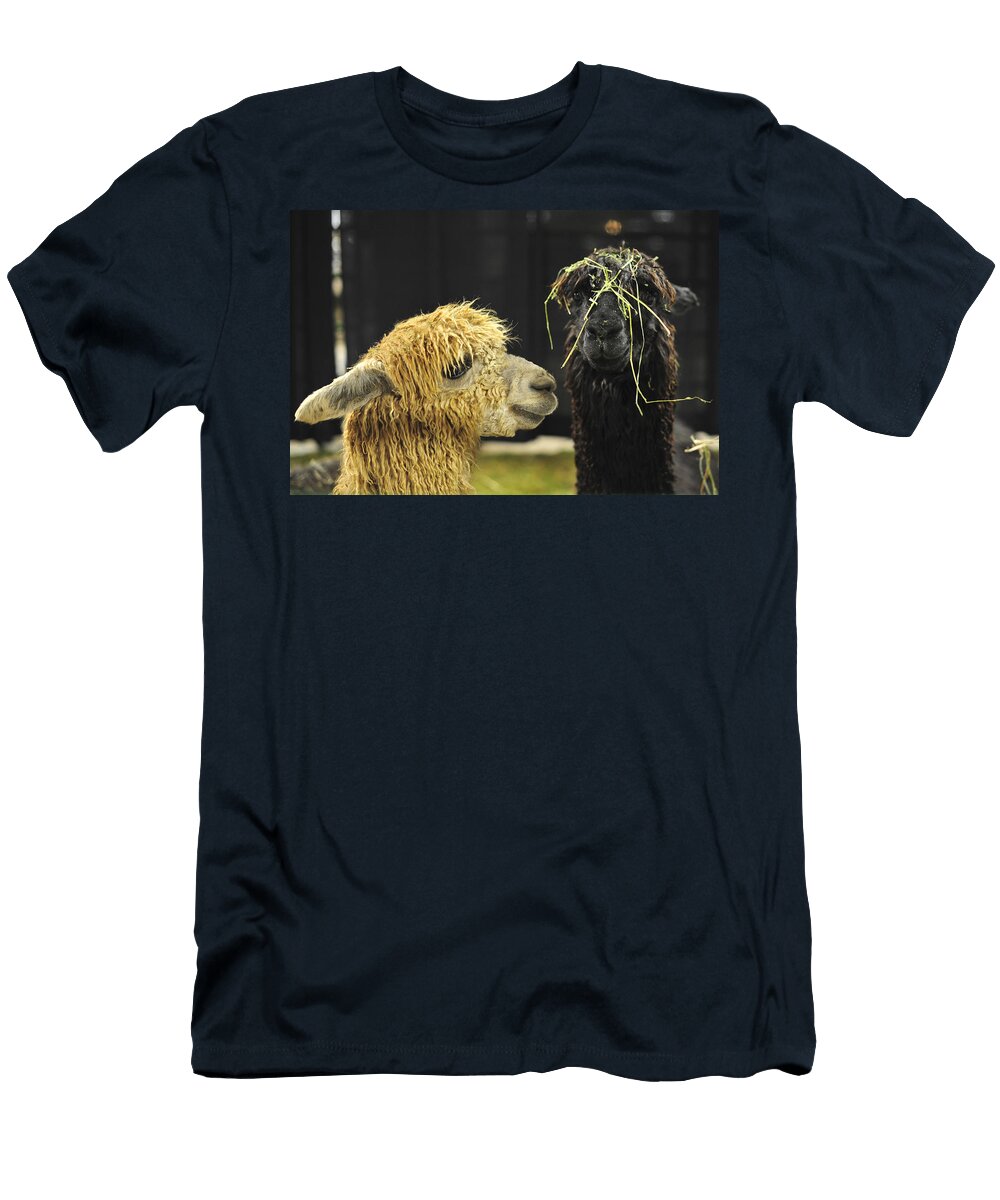 Bad Hair Day Farm Show Harrisburg Pa Terry Deluco T-Shirt