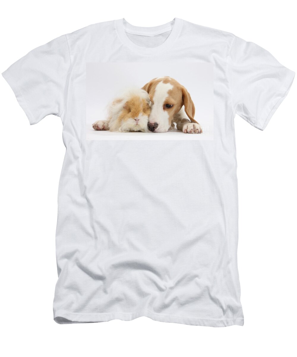 Beagle Pup and Alpaca Guinea Pig Mark Taylor T-Shirt