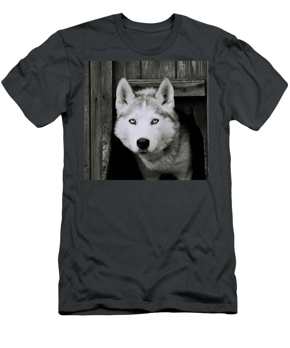Beautiful Husky Dog Shaun Higson T-Shirt