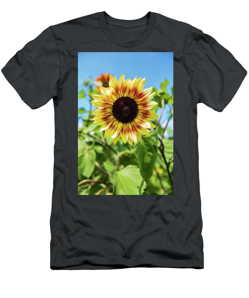 Beautiful Symmetry Rose Guinther T-Shirt