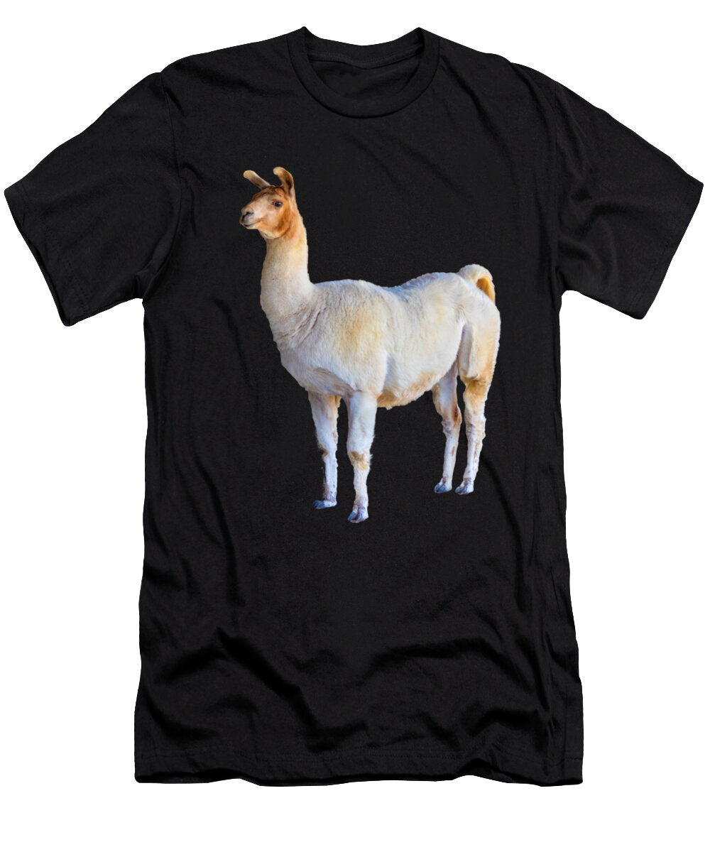 Beefy Llama Jonny D T-Shirt