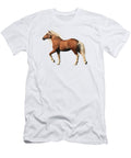 Belgian Horse Daniel Eskridge T-Shirt