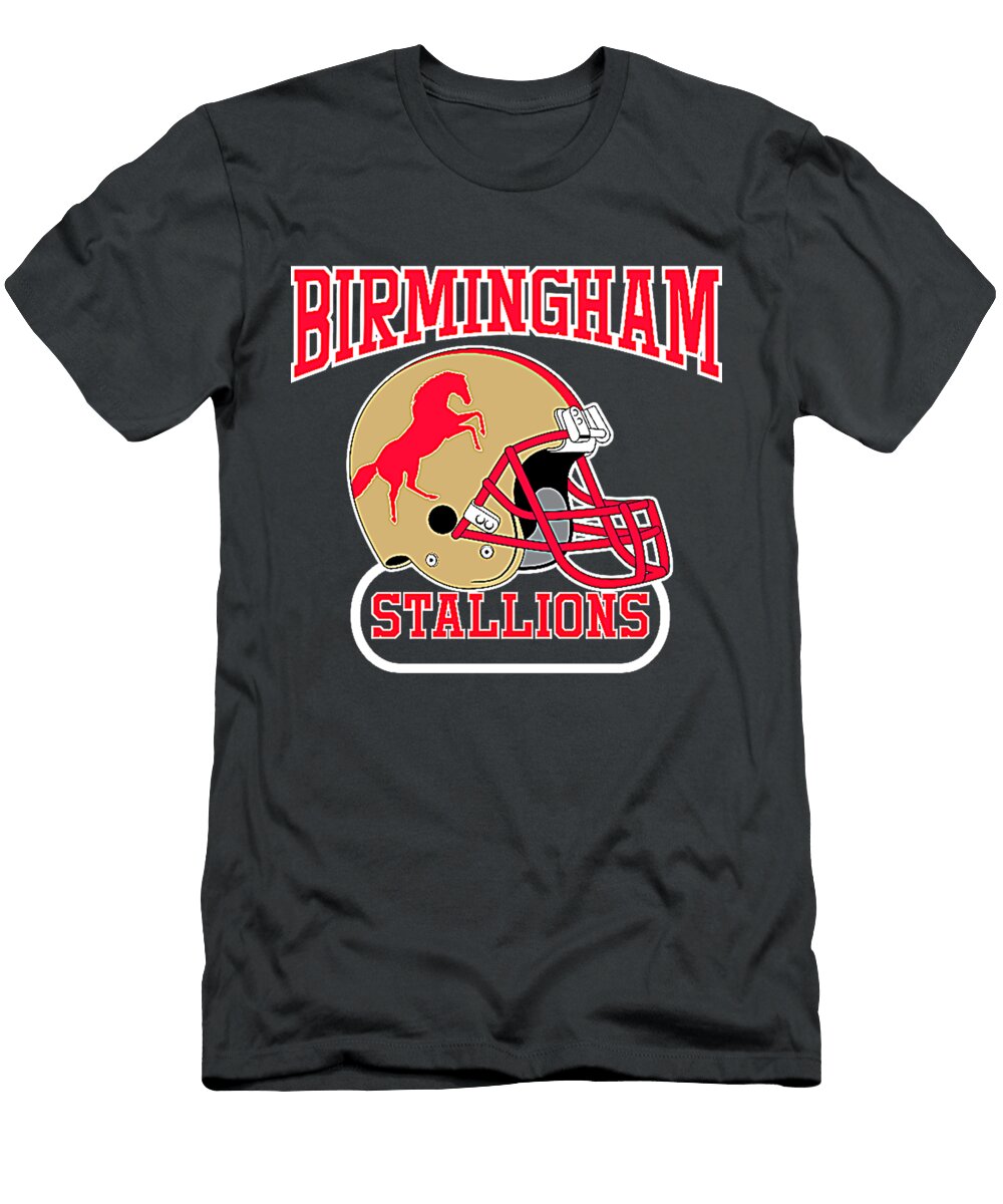 Birmingham Stallions Helmet Hue Au Ho T-Shirt