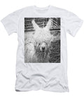 Black and White Alpaca Photograph Keith Webber Jr T-Shirt