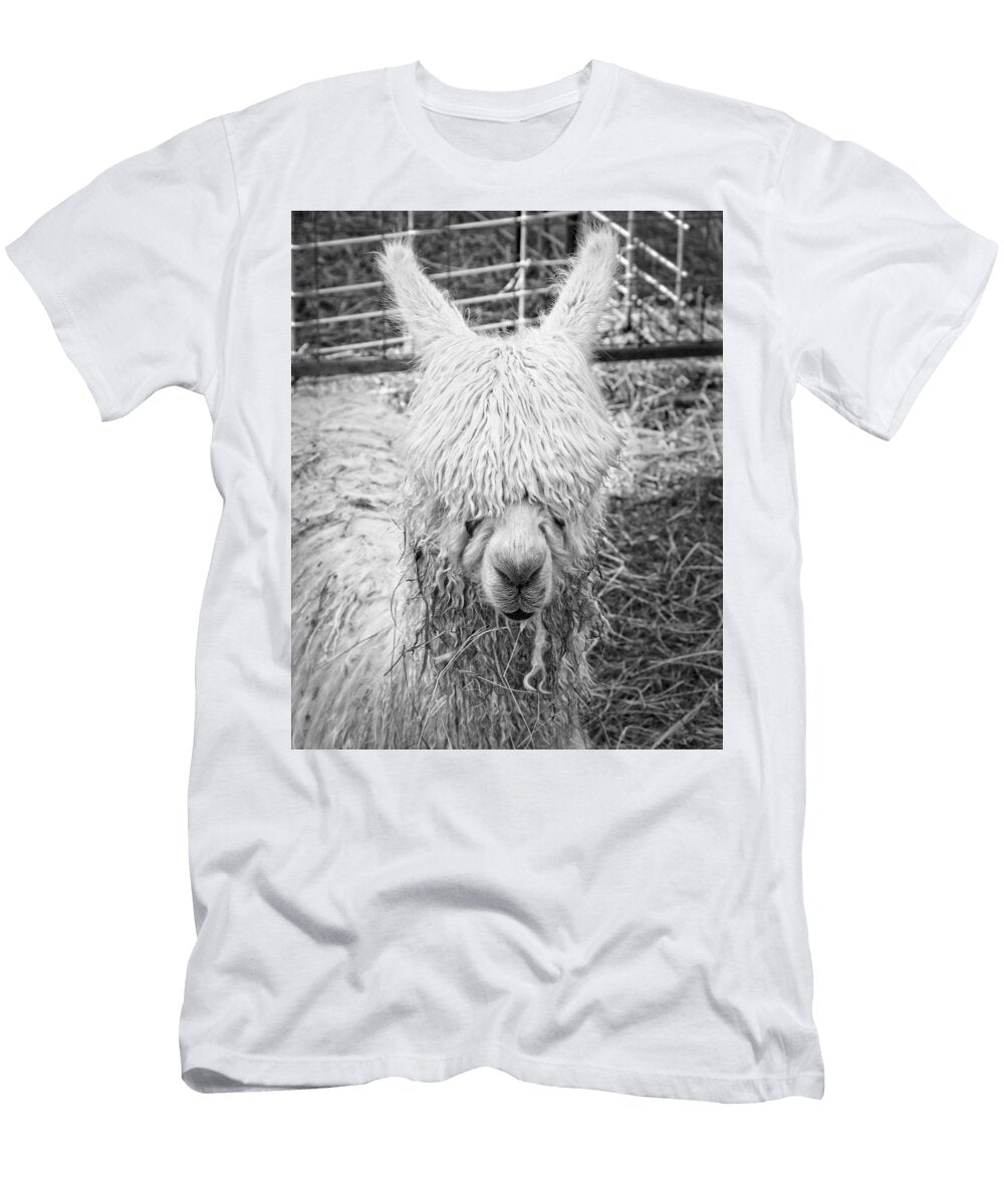 Black and White Alpaca Photograph Keith Webber Jr T-Shirt