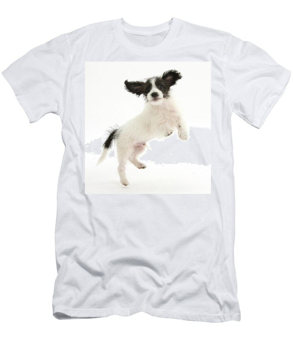 Black and White Jack a Poo Jack Russell Cross Poodle Pup Mark Taylor Natureplcom T-Shirt
