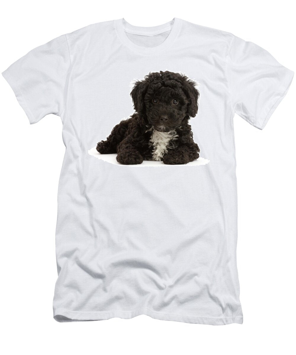 Black Poodle Cross Puppy Lying Mark Taylor Natureplcom T-Shirt