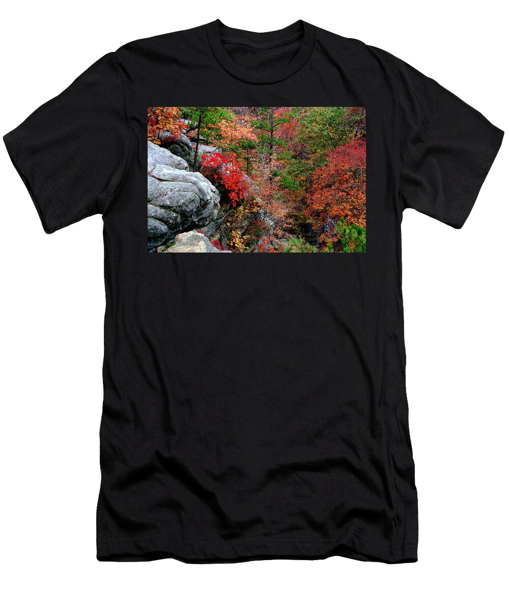Bluffs Over Pickle Creek At Hawn State Park Greg Matchick T-Shirt
