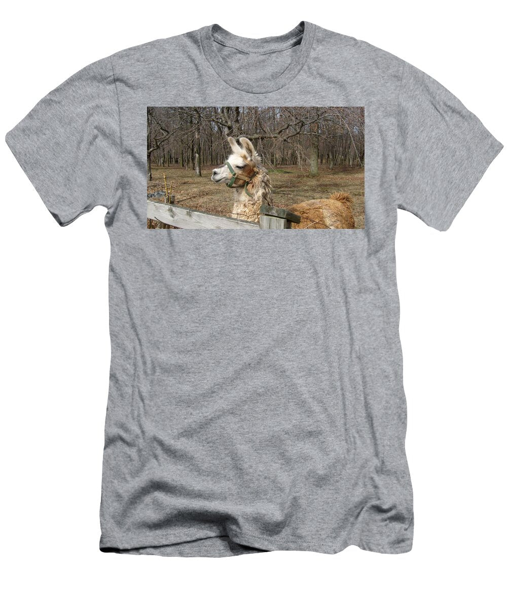 Brown Alpaca 3 Les Classics T-Shirt