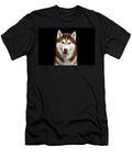 Brown Husky Sergey Taran T-Shirt