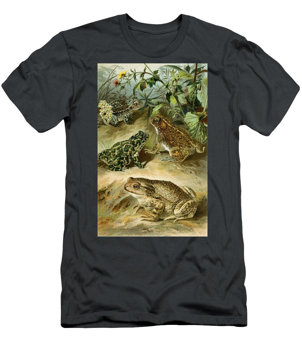 Bufo Vulgaris Bufo Viridis Bufo Calamita Alytes Obstetricans Bruno Durigen German T-Shirt