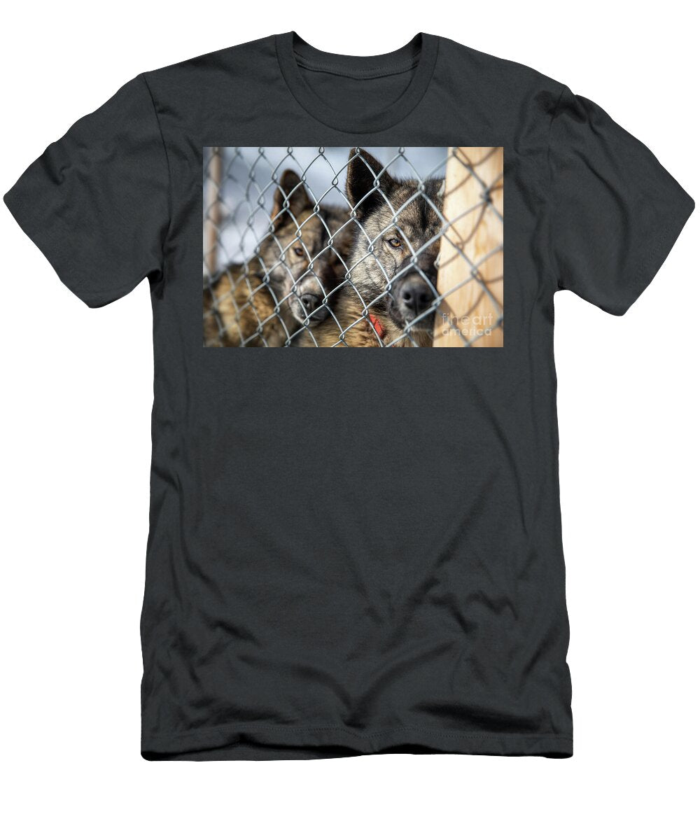Caged Husky Sled Dogs in Svalbard Jane Rix T-Shirt