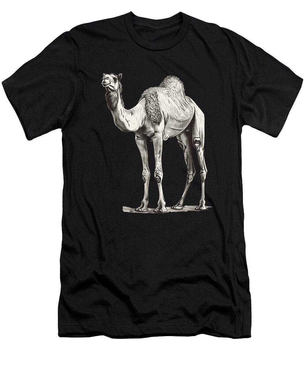 Camel Community Importance Robertz Schuler T-Shirt