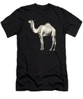 Camel Symbolic Representations Robertz Schuler T-Shirt