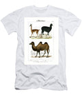 Camelids From South America and Asia 1851 Lithography C Roth T-Shirt