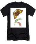Cassia Butterfly Illustration From the Naturalists Miscellany 1789 1813 By George Shaw 1751 1813 George Shaw T-Shirt