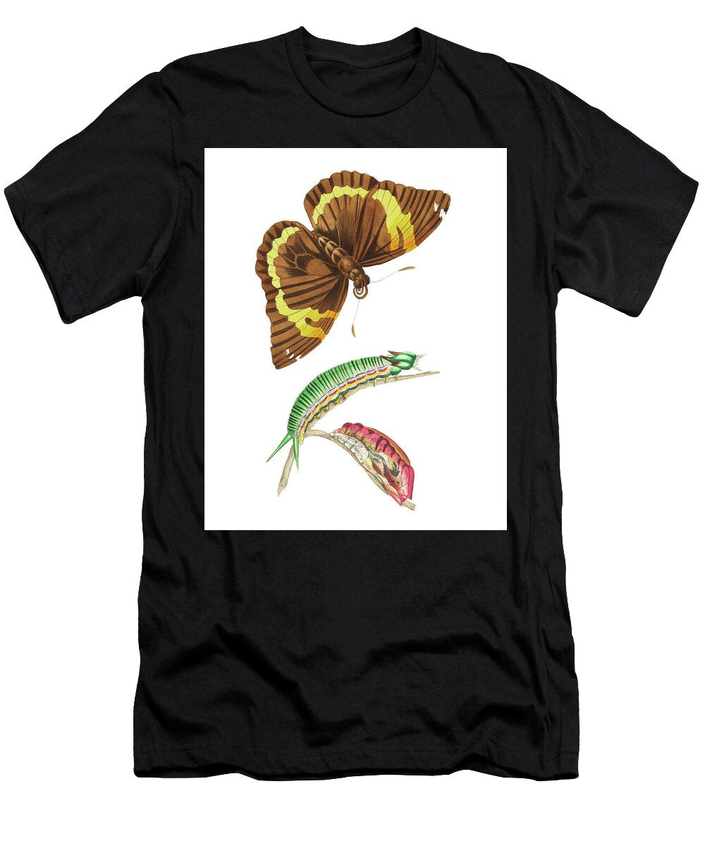 Cassia Butterfly Illustration From the Naturalists Miscellany 1789 1813 By George Shaw 1751 1813 George Shaw T-Shirt
