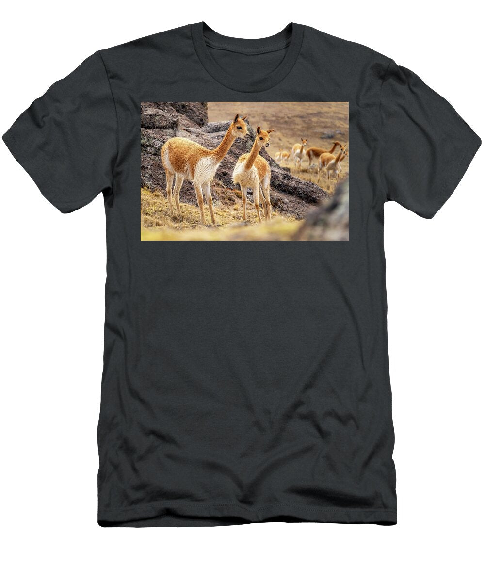 Chaccu Right Through You Wasim Muklashy T-Shirt