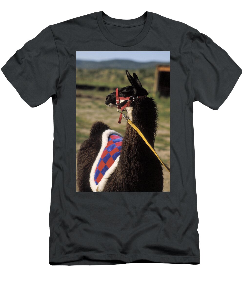 Chaco Jerry Mcelroy T-Shirt