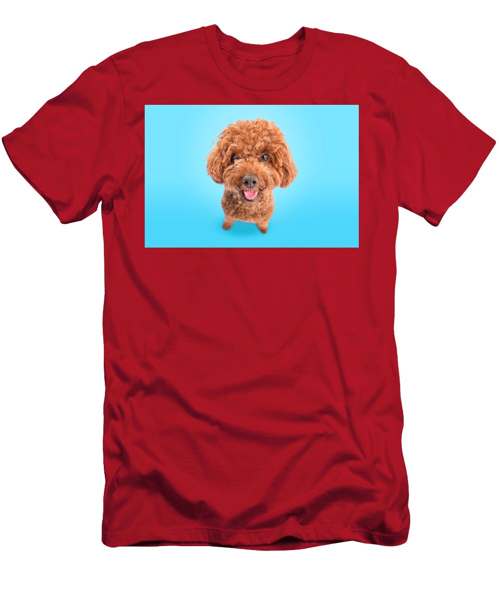 Chewy Ss Smile Paul Sears Resilient Rover T-Shirt