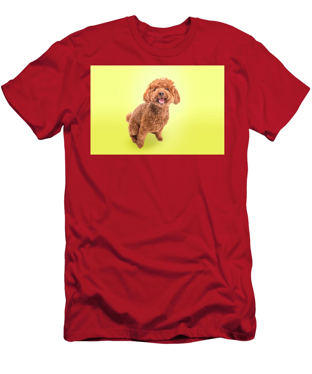 Chewy Ss Sunny Paul Sears Resilient Rover T-Shirt
