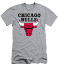 Chicago Bulls NBA Logo Matthew Hayward T-Shirt