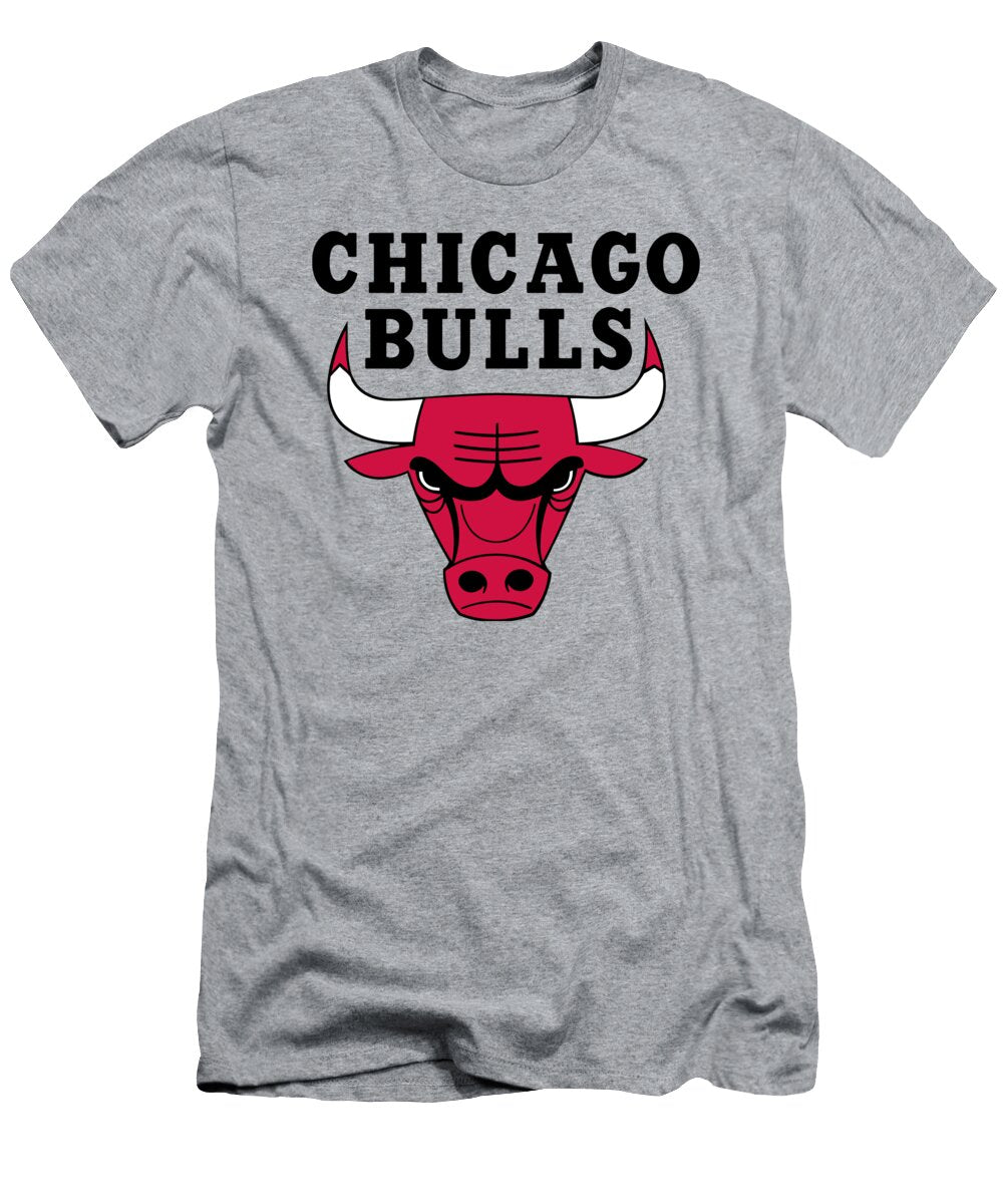 Chicago Bulls NBA Logo Matthew Hayward T-Shirt