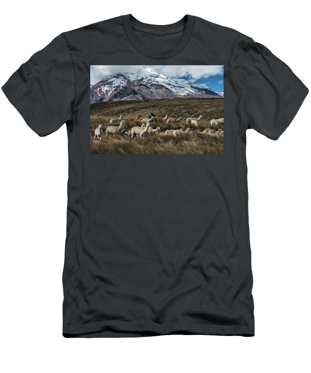 Chimborazo Volcano and Alpacas Andes Ecuador August Pete Oxford Natureplcom T-Shirt