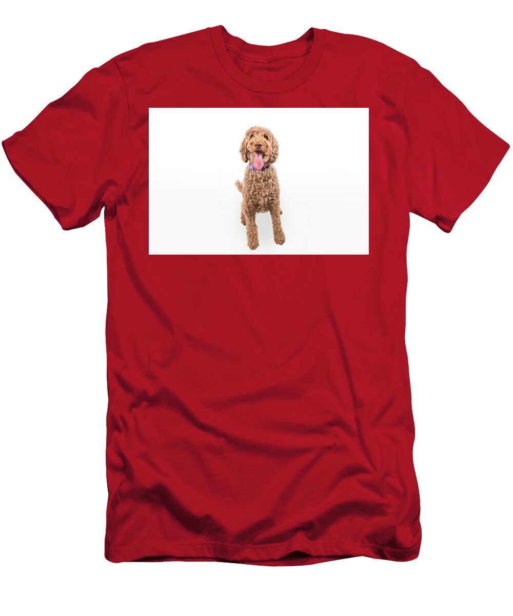 Coco S Portrait Paul Sears Resilient Rover T-Shirt
