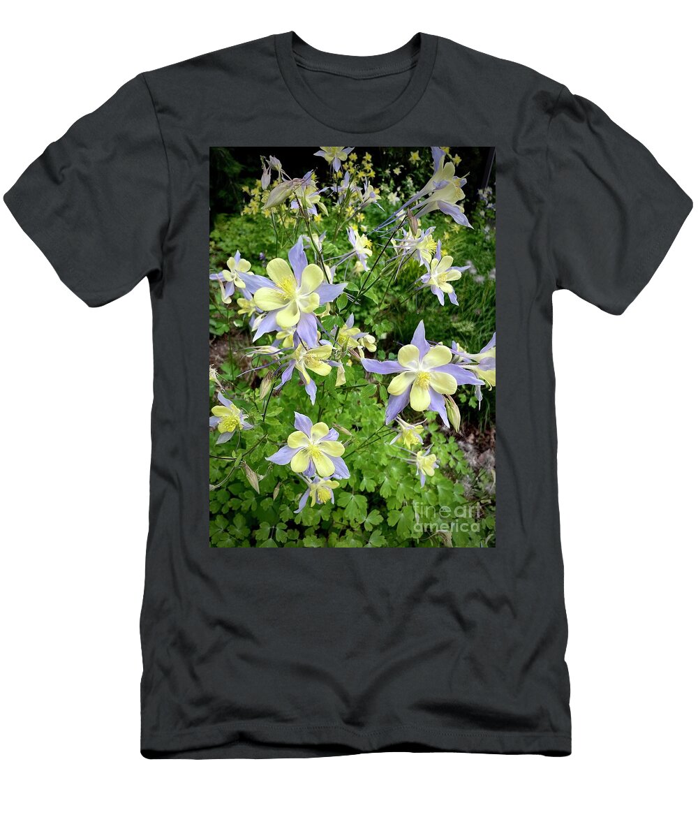 Colorado Blue Columbine 1 Brooke Gendreau T-Shirt