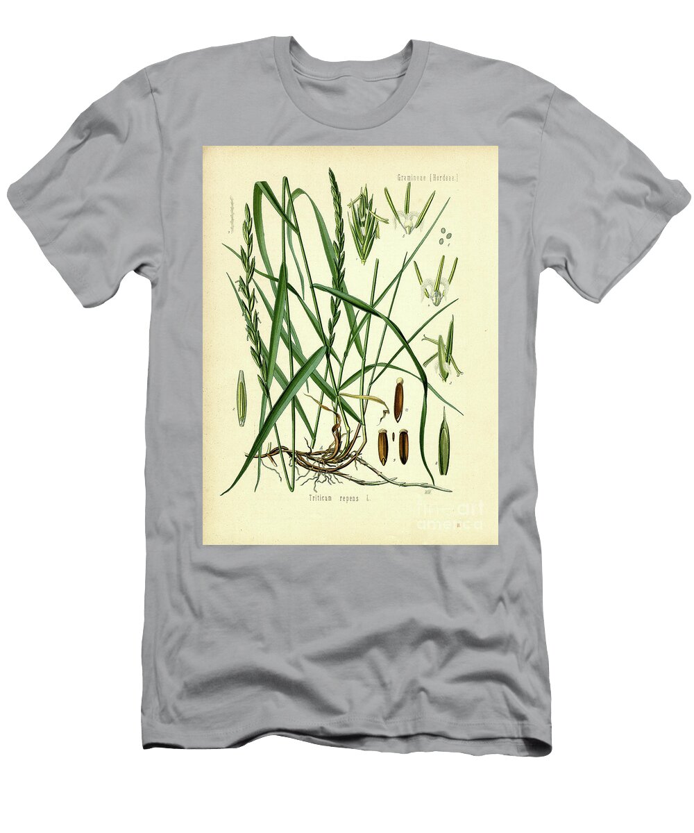 Couch Grass Unknown Artist T-Shirt