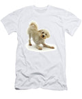 Cream Coloured Schnoodle Age 7 Months in Mark Taylor Natureplcom T-Shirt