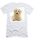 Cream Coloured Schnoodle Age 7 Months Lying with Head Mark Taylor Natureplcom T-Shirt