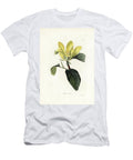 Cucumber or Pickle Tree or Cucumber Magnolia Cucumber Tree or Blue Magnolia Magnolia Acuminata European School T-Shirt